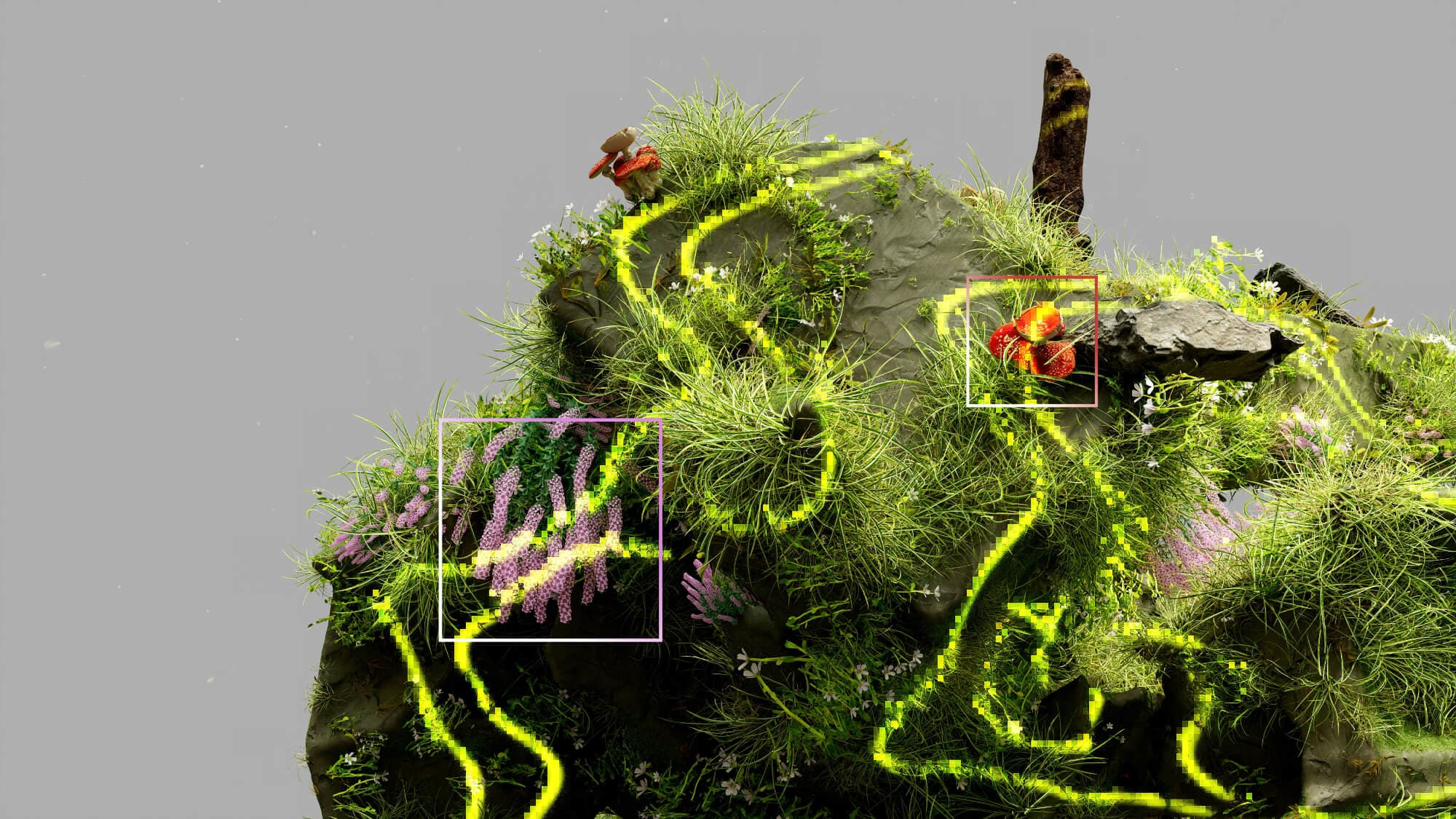 section display image